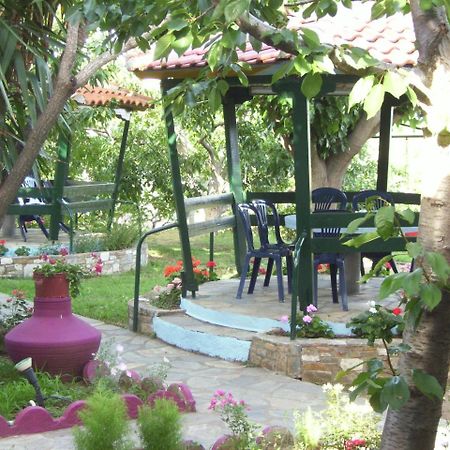 Ξενοδοχείο Ελύτης Ποτιστικά Εξωτερικό φωτογραφία